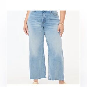 J. Crew Factory Wide Leg Crop Jeans Size 31T Raw Hems High Rise BO755